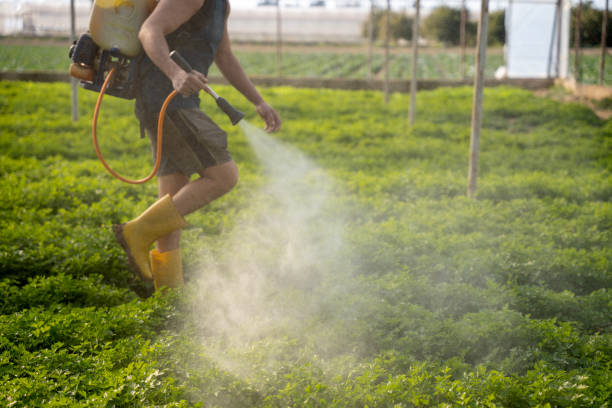 Best Ant Control Services  in Le Mars, IA