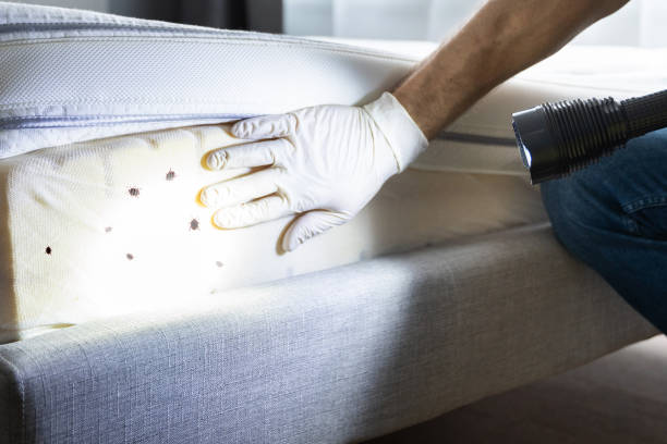 Trusted Le Mars, IA Pest Control Experts