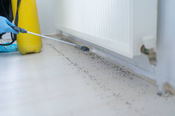 Best Bed Bug Extermination  in Le Mars, IA