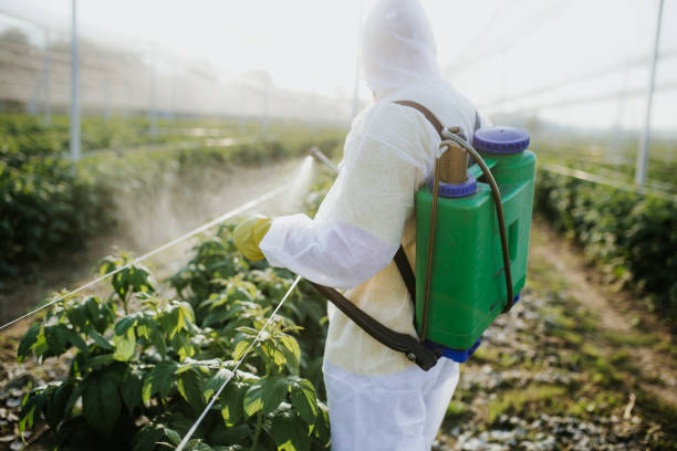 Best Affordable Pest Control Services  in Le Mars, IA